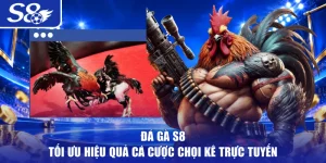 Đá Gà S8